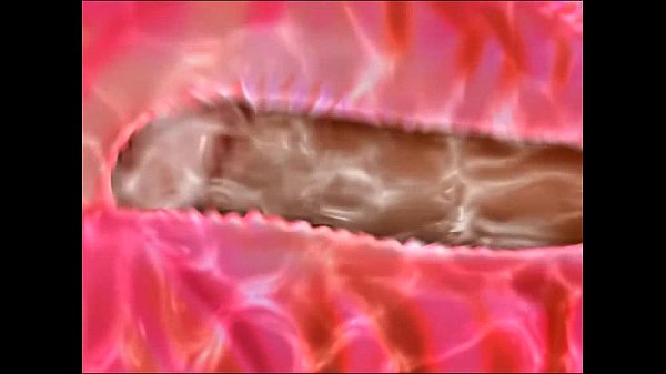 2017-02-22 Untitled 01